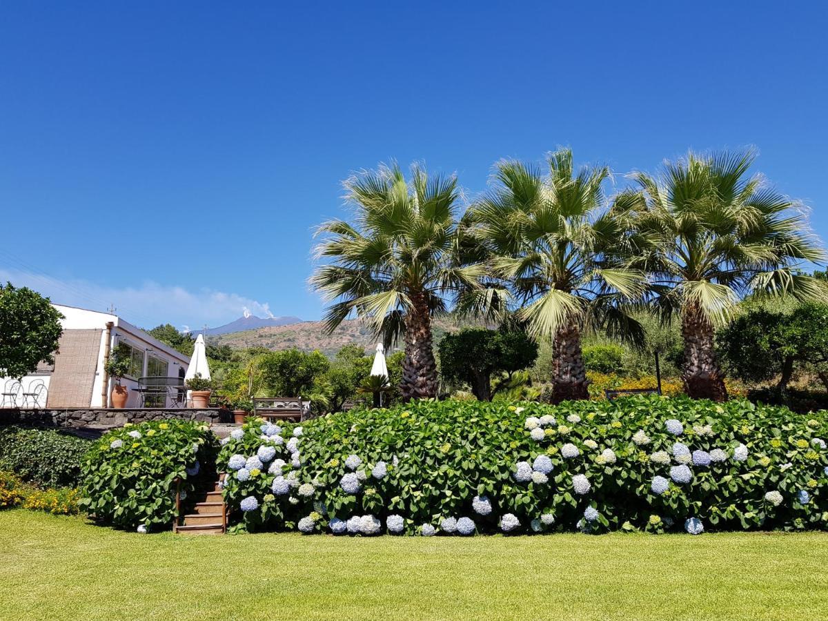 מסקלי Agriturismo Le Case Di Civi מראה חיצוני תמונה
