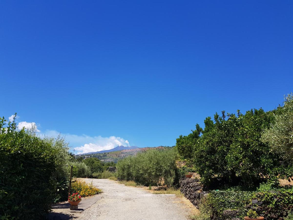 מסקלי Agriturismo Le Case Di Civi מראה חיצוני תמונה
