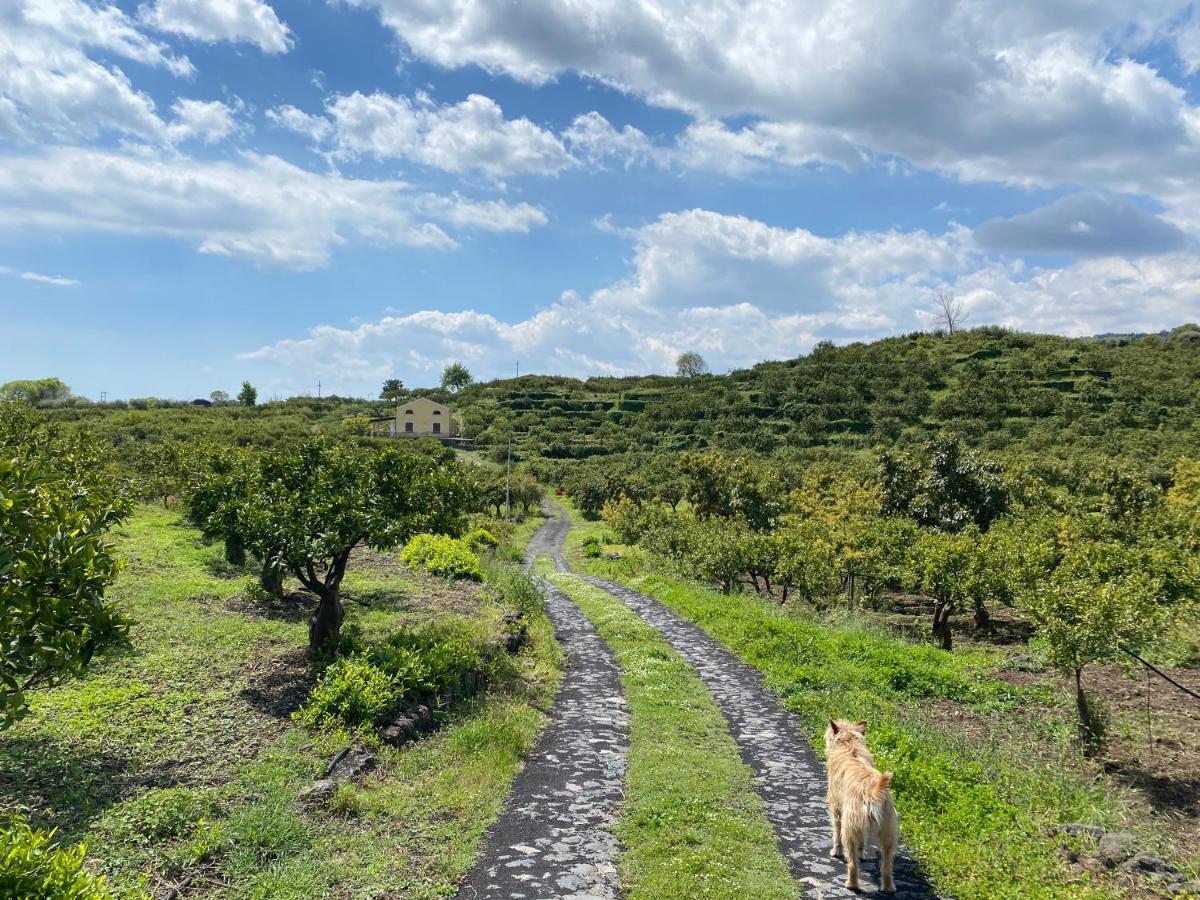 מסקלי Agriturismo Le Case Di Civi מראה חיצוני תמונה