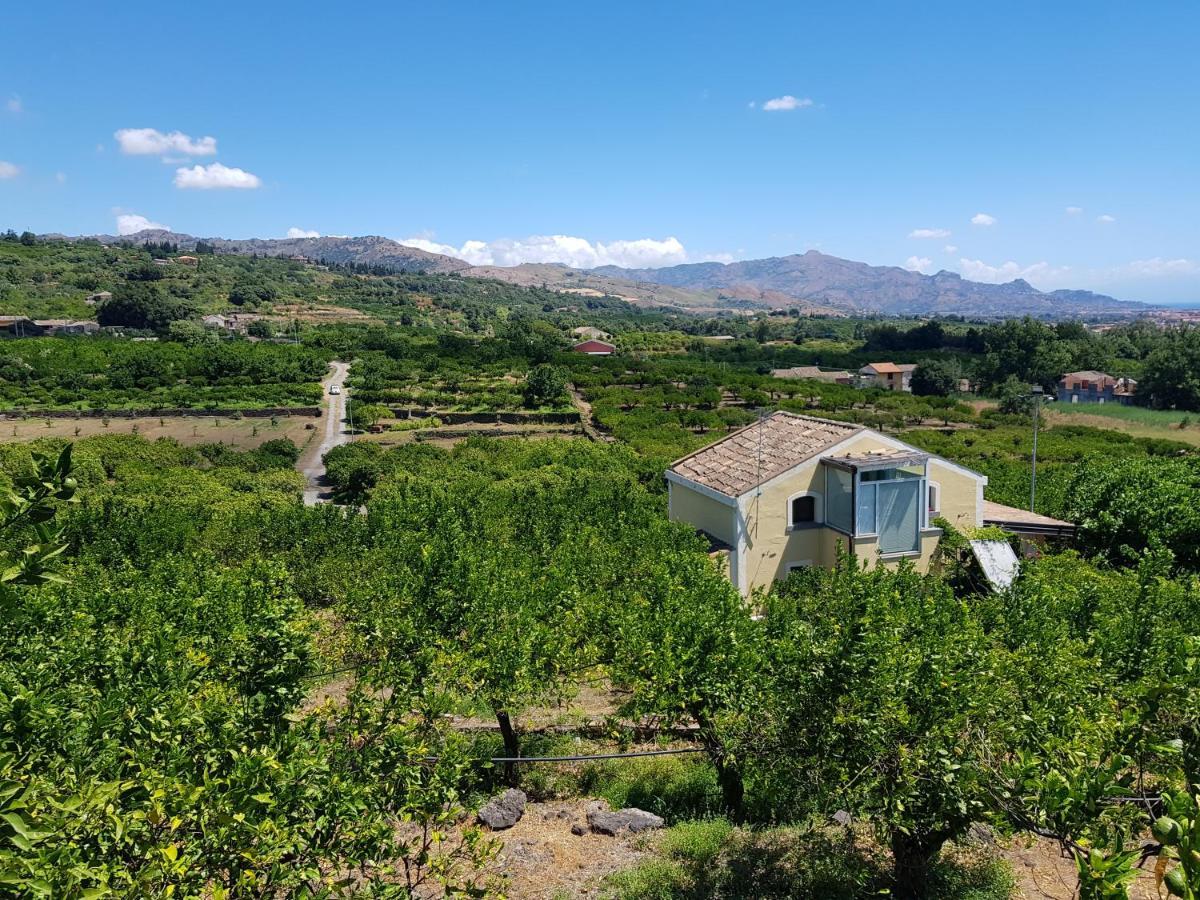 מסקלי Agriturismo Le Case Di Civi מראה חיצוני תמונה