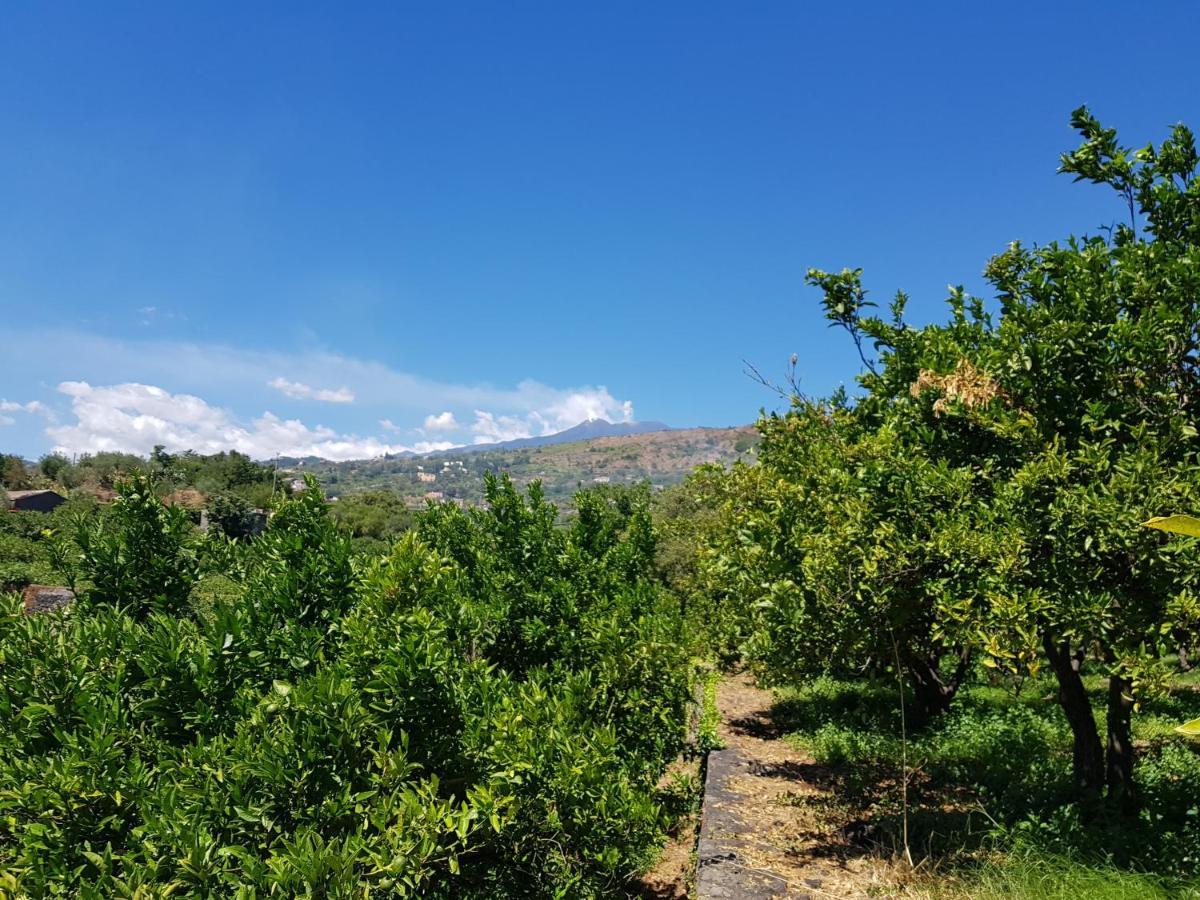 מסקלי Agriturismo Le Case Di Civi מראה חיצוני תמונה