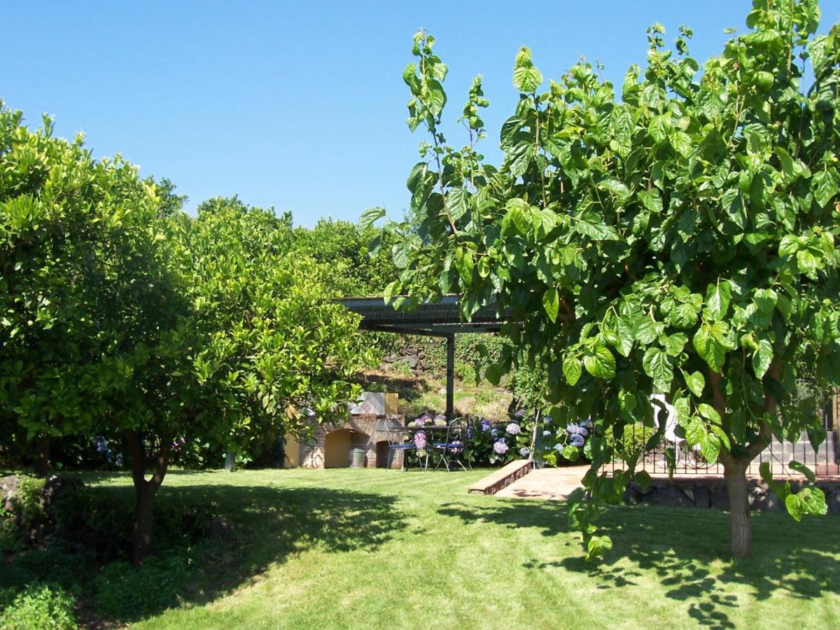 מסקלי Agriturismo Le Case Di Civi מראה חיצוני תמונה