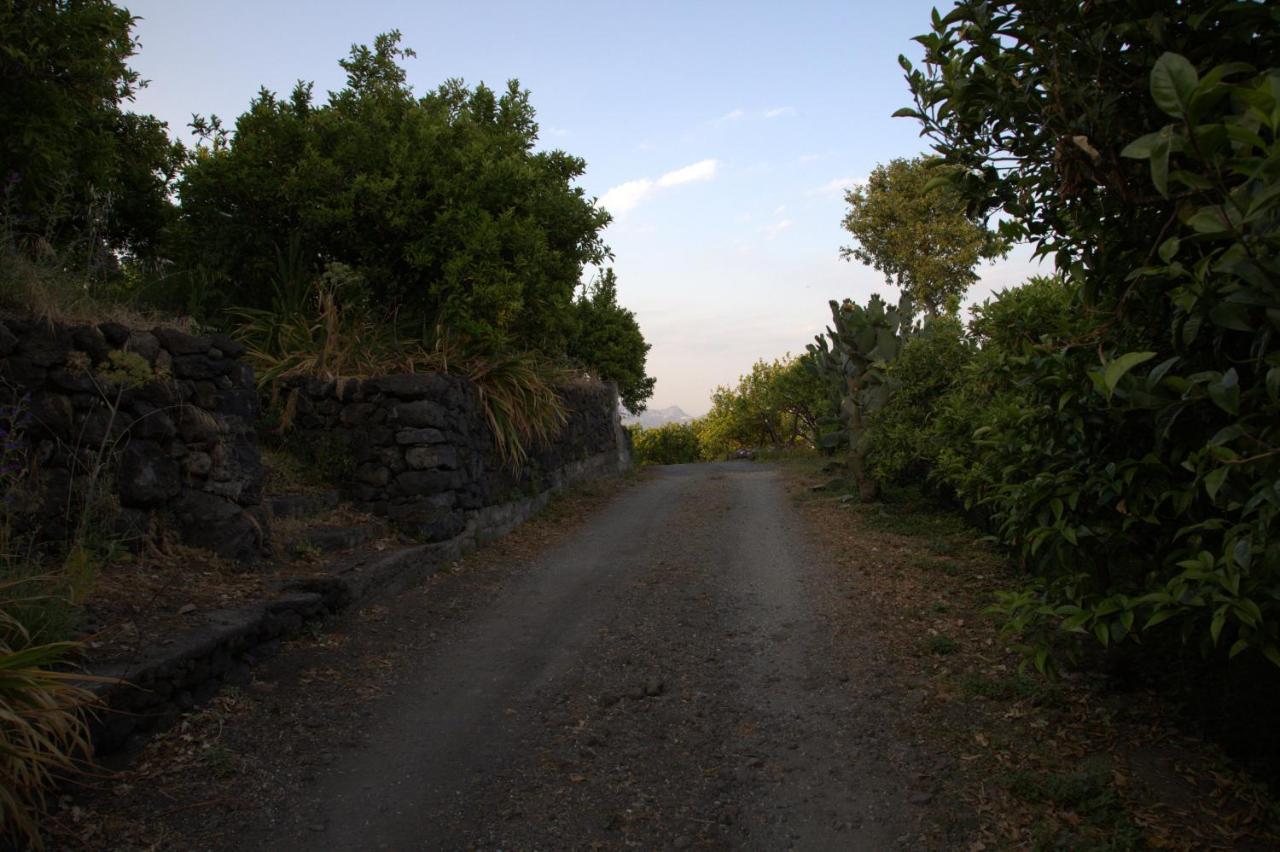 מסקלי Agriturismo Le Case Di Civi מראה חיצוני תמונה