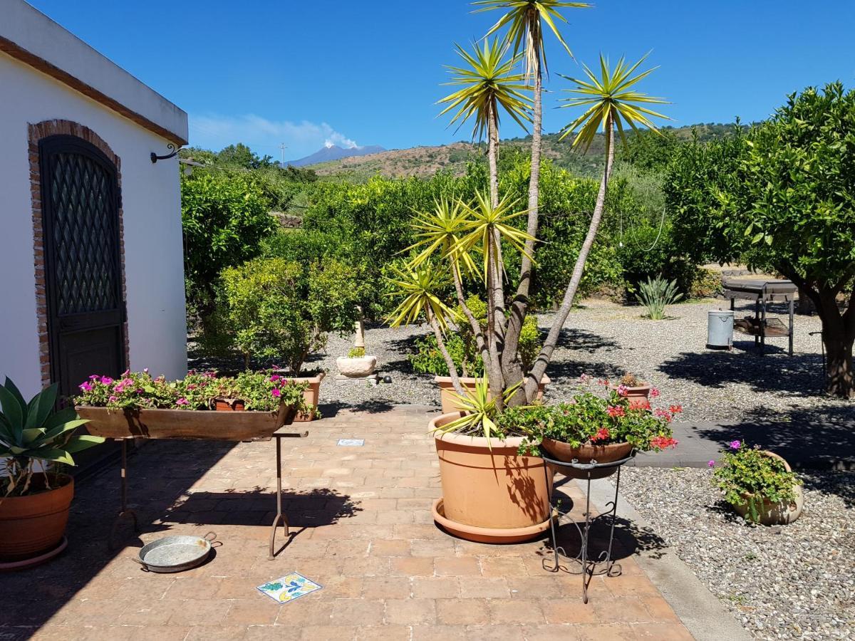 מסקלי Agriturismo Le Case Di Civi מראה חיצוני תמונה
