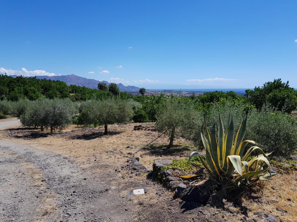 מסקלי Agriturismo Le Case Di Civi מראה חיצוני תמונה