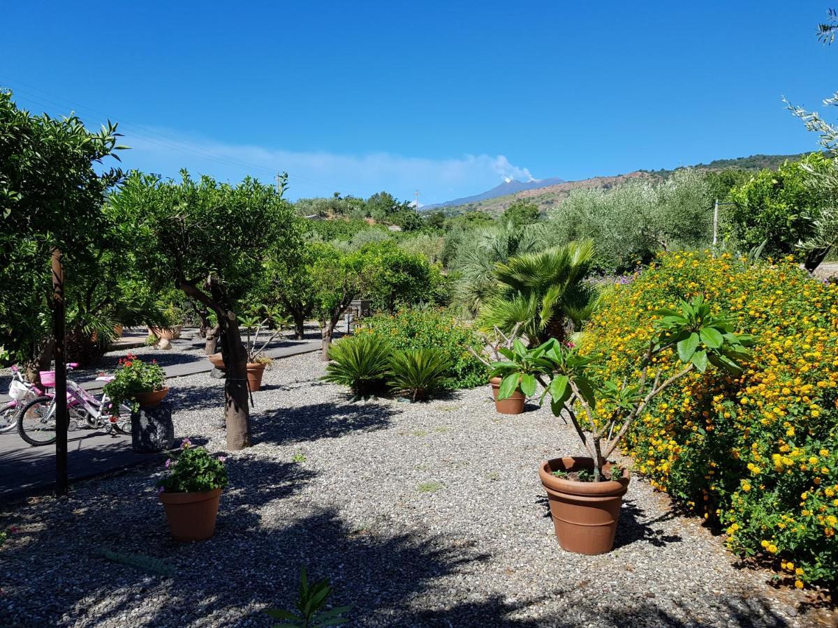 מסקלי Agriturismo Le Case Di Civi מראה חיצוני תמונה