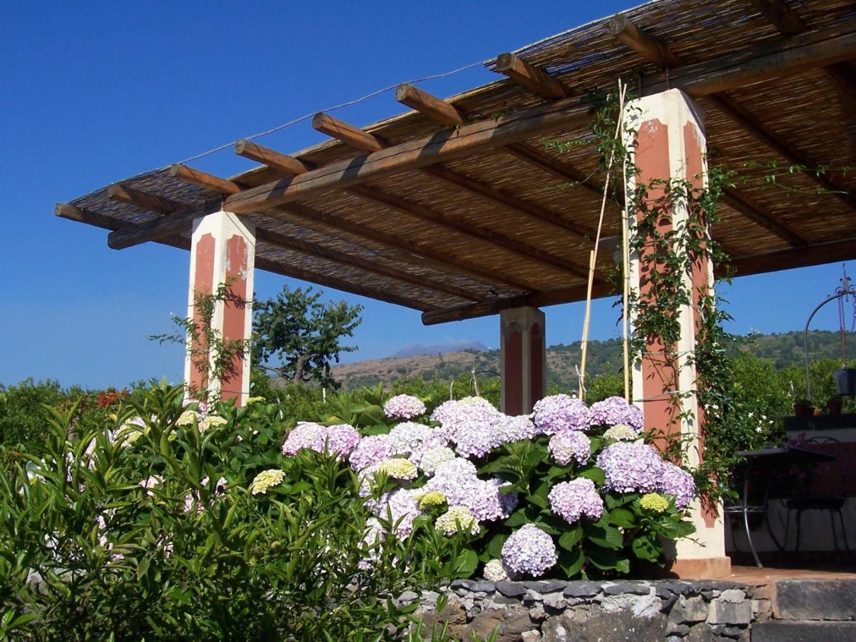 מסקלי Agriturismo Le Case Di Civi מראה חיצוני תמונה