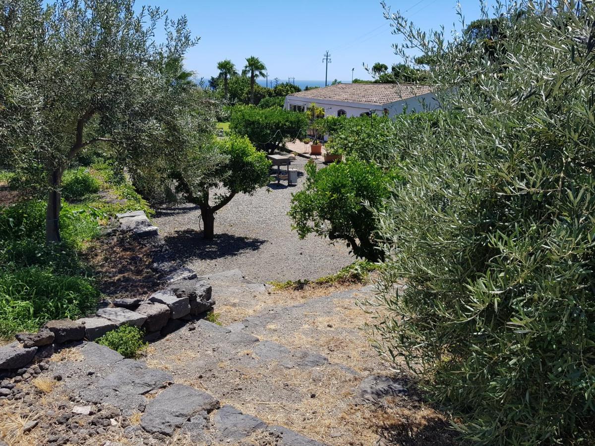 מסקלי Agriturismo Le Case Di Civi מראה חיצוני תמונה