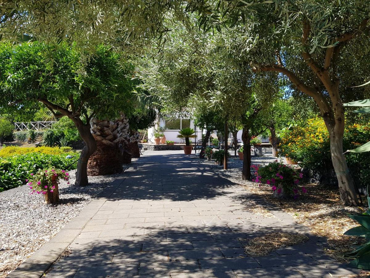 מסקלי Agriturismo Le Case Di Civi מראה חיצוני תמונה